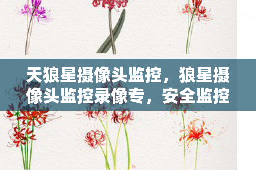 天狼星摄像头监控,狼星摄像头监控录像专,安全监控的新选择 天狼星摄像头监控,狼星摄像头监控录像专,安全监控的新选择