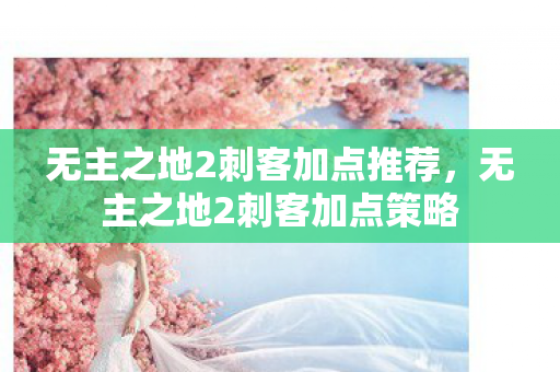 无主之地2刺客加点推荐,无主之地2刺客加点策略 无主之地2刺客加点推荐,无主之地2刺客加点策略