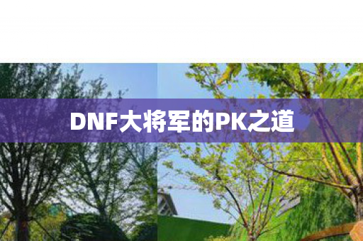 DNF大将军的PK之道