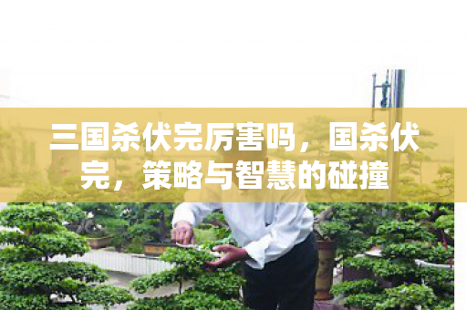 三国杀伏完厉害吗,国杀伏完,策略与智慧的碰撞 三国杀伏完厉害吗,国杀伏完,策略与智慧的碰撞
