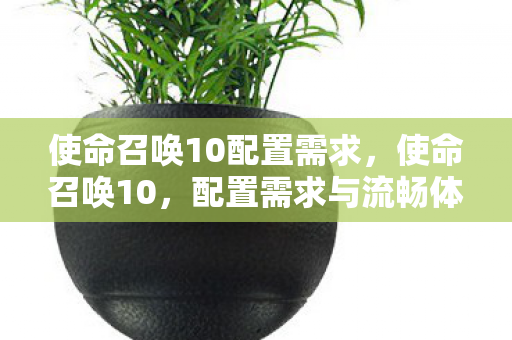 使命召唤10配置需求,使命召唤10,配置需求与流畅体验 使命召唤10配置需求,使命召唤10,配置需求与流畅体验