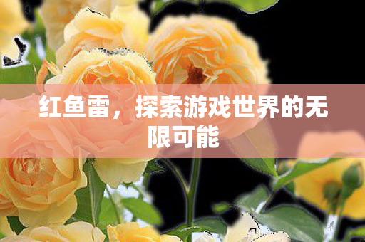 红鱼雷,探索游戏世界的无限可能 红鱼雷,探索游戏世界的无限可能