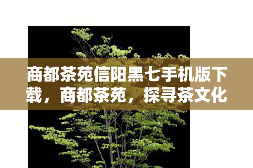 商都茶苑信阳黑七手机版下载，商都茶苑，探寻茶文化的深度与广度