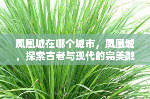 凤凰城在哪个城市,凤凰城,探索古老与现代的完美融合 凤凰城在哪个城市,凤凰城,探索古老与现代的完美融合