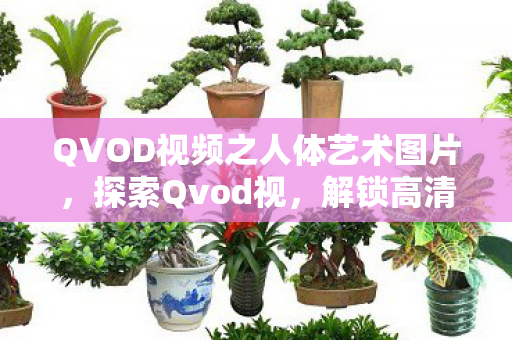 QVOD视频之人体艺术图片,探索Qvod视,解锁高清影视新体验 QVOD视频之人体艺术图片,探索Qvod视,解锁高清影视新体验