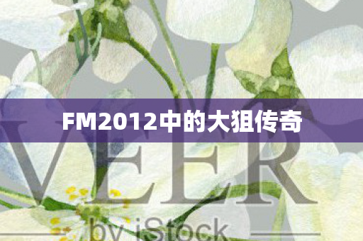 FM2012中的大狙传奇 FM2012中的大狙传奇