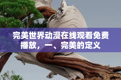 完美世界动漫在线观看免费播放，一、完美的定义