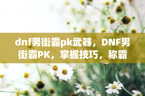 dnf男街霸pk武器，DNF男街霸PK，掌握技巧，称霸决斗场