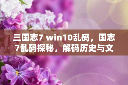 三国志7 win10乱码,国志7乱码探秘,解码历史与文化的数字迷思 三国志7 win10乱码,国志7乱码探秘,解码历史与文化的数字迷思