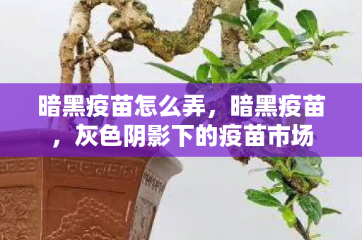 暗黑疫苗怎么弄，暗黑疫苗，灰色阴影下的疫苗市场