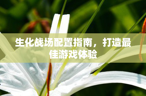 生化战场配置指南,打造最佳游戏体验 生化战场配置指南,打造最佳游戏体验