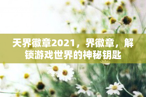 天界徽章2021，界徽章，解锁游戏世界的神秘钥匙
