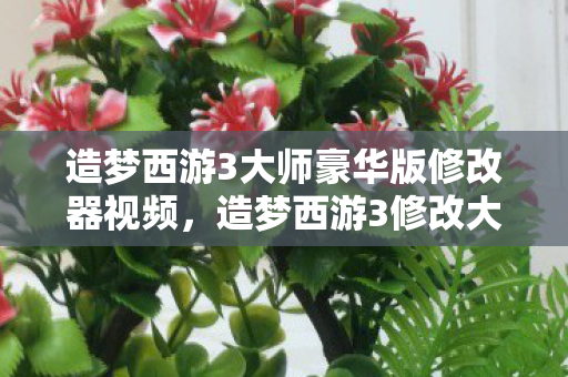 造梦西游3大师豪华版修改器视频，造梦西游3修改大师v3.0.9.7豪华版，解锁无限可能的冒险之旅