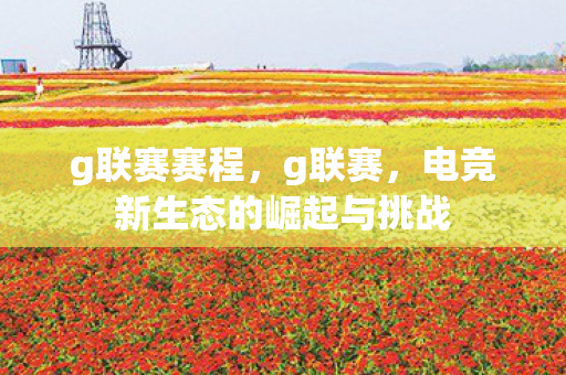 g联赛赛程，g联赛，电竞新生态的崛起与挑战