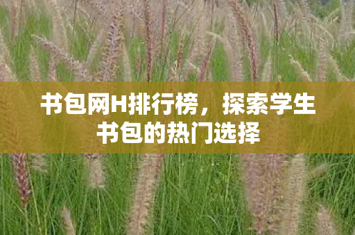 书包网H排行榜，探索学生书包的热门选择
