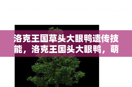 洛克王国草头大眼鸭遗传技能,洛克王国头大眼鸭,萌宠养成新体验 洛克王国草头大眼鸭遗传技能,洛克王国头大眼鸭,萌宠养成新体验