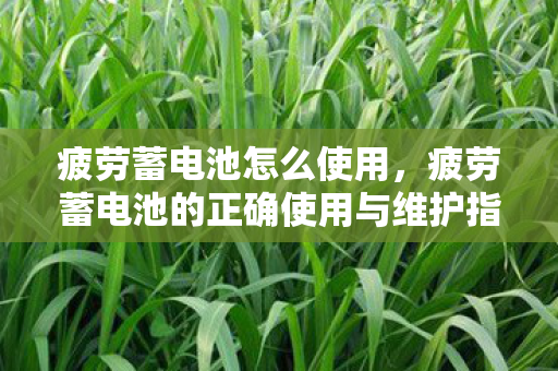 疲劳蓄电池怎么使用,疲劳蓄电池的正确使用与维护指南 疲劳蓄电池怎么使用,疲劳蓄电池的正确使用与维护指南