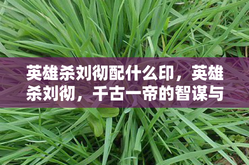 英雄杀刘彻配什么印,英雄杀刘彻,千古一帝的智谋与决断 英雄杀刘彻配什么印,英雄杀刘彻,千古一帝的智谋与决断