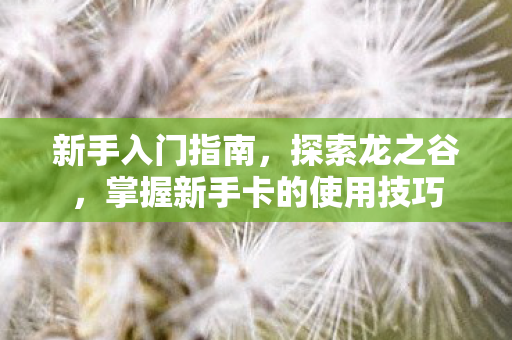 新手入门指南,探索龙之谷,掌握新手卡的使用技巧 新手入门指南,探索龙之谷,掌握新手卡的使用技巧