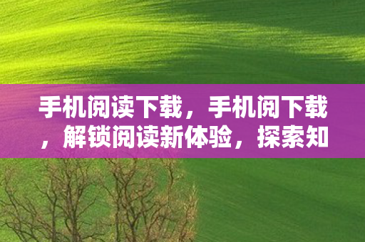 手机阅读下载，手机阅下载，解锁阅读新体验，探索知识无界限