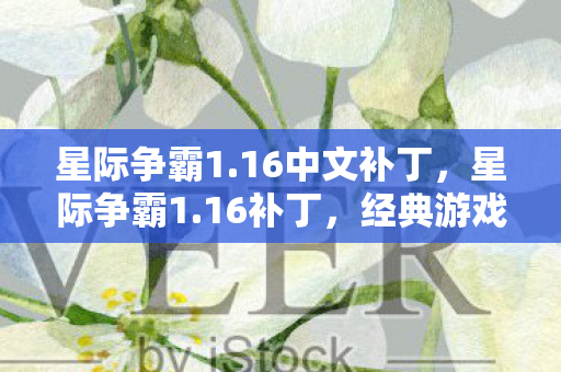 星际争霸1.16中文补丁,星际争霸1.16补丁,经典游戏的重生与革新 星际争霸1.16中文补丁,星际争霸1.16补丁,经典游戏的重生与革新