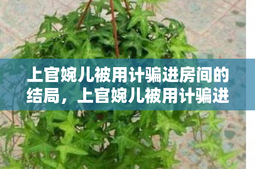 上官婉儿被用计骗进房间的结局,上官婉儿被用计骗进房间 上官婉儿被用计骗进房间的结局,上官婉儿被用计骗进房间