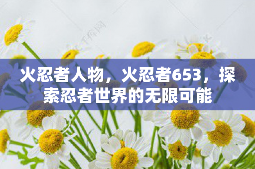 火忍者人物，火忍者653，探索忍者世界的无限可能