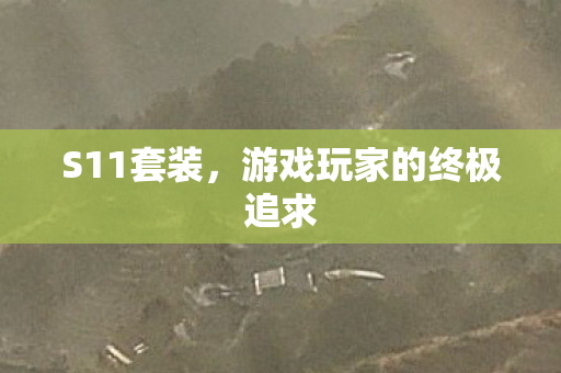 S11套装,游戏玩家的终极追求 S11套装,游戏玩家的终极追求