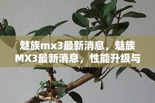 魅族mx3最新消息,魅族MX3最新消息,性能升级与用户体验优化 魅族mx3最新消息,魅族MX3最新消息,性能升级与用户体验优化