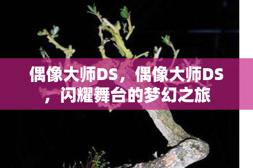 偶像大师DS，偶像大师DS，闪耀舞台的梦幻之旅