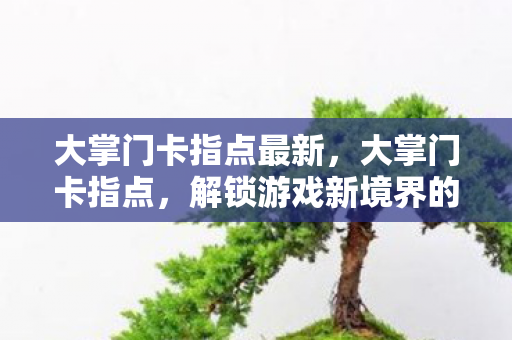 大掌门卡指点最新，大掌门卡指点，解锁游戏新境界的秘籍