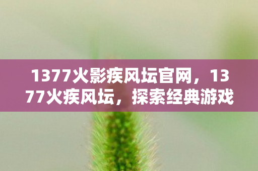 1377火影疾风坛官网,1377火疾风坛,探索经典游戏的魅力与传承 1377火影疾风坛官网,1377火疾风坛,探索经典游戏的魅力与传承