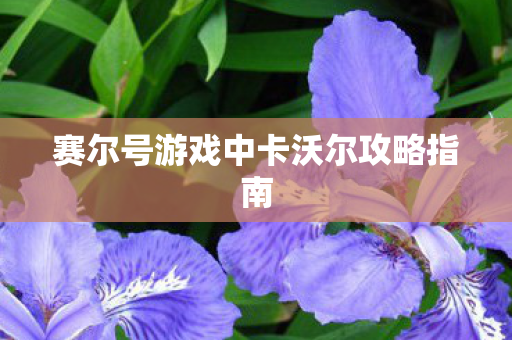 赛尔号游戏中卡沃尔攻略指南 赛尔号游戏中卡沃尔攻略指南