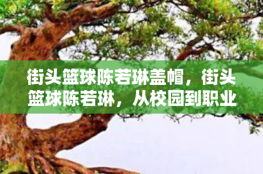 街头篮球陈若琳盖帽，街头篮球陈若琳，从校园到职业，她的篮球之路