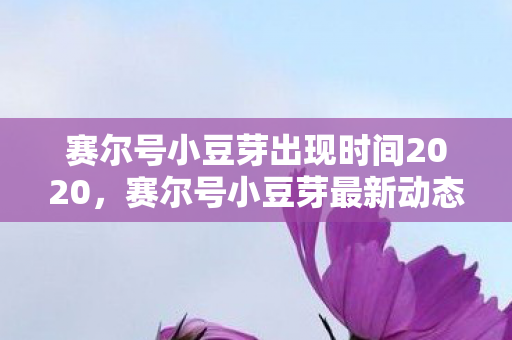 赛尔号小豆芽出现时间2020,赛尔号小豆芽最新动态,何时再现? 赛尔号小豆芽出现时间2020,赛尔号小豆芽最新动态,何时再现?