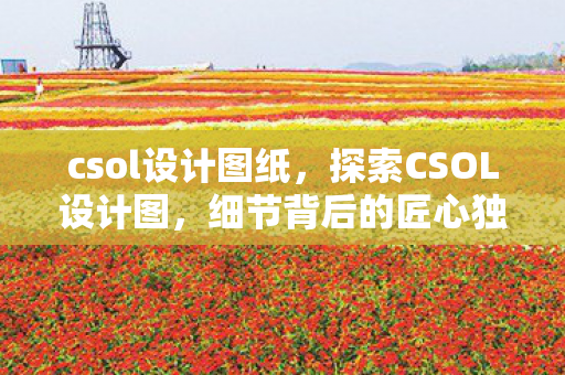 csol设计图纸,探索CSOL设计图,细节背后的匠心独运 csol设计图纸,探索CSOL设计图,细节背后的匠心独运