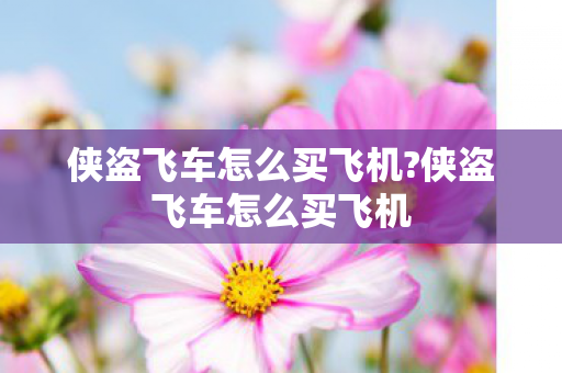 侠盗飞车怎么买飞机?侠盗飞车怎么买飞机 侠盗飞车怎么买飞机?侠盗飞车怎么买飞机