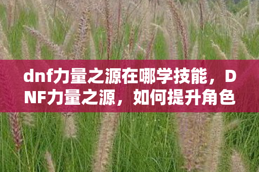 dnf力量之源在哪学技能,DNF力量之源,如何提升角色战斗力的全面指南 dnf力量之源在哪学技能,DNF力量之源,如何提升角色战斗力的全面指南