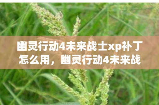 幽灵行动4未来战士xp补丁怎么用,幽灵行动4未来战士xp补丁,提升游戏体验的必备神器 幽灵行动4未来战士xp补丁怎么用,幽灵行动4未来战士xp补丁,提升游戏体验的必备神器