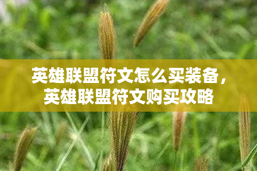 英雄联盟符文怎么买装备，英雄联盟符文购买攻略