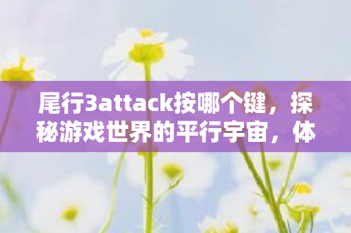 尾行3attack按哪个键,探秘游戏世界的平行宇宙,体验服与测试服的前世今生 尾行3attack按哪个键,探秘游戏世界的平行宇宙,体验服与测试服的前世今生
