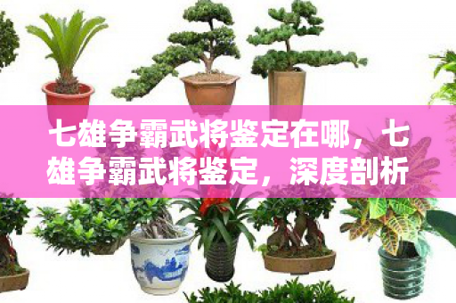 七雄争霸武将鉴定在哪,七雄争霸武将鉴定,深度剖析武将属性,打造无敌阵容 七雄争霸武将鉴定在哪,七雄争霸武将鉴定,深度剖析武将属性,打造无敌阵容