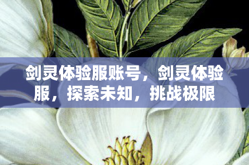 剑灵体验服账号,剑灵体验服,探索未知,挑战极限 剑灵体验服账号,剑灵体验服,探索未知,挑战极限