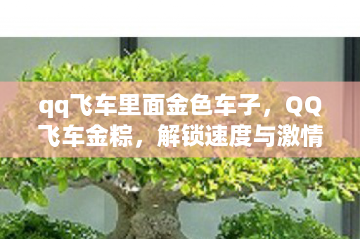 qq飞车里面金色车子,QQ飞车金粽,解锁速度与激情的终极秘诀 qq飞车里面金色车子,QQ飞车金粽,解锁速度与激情的终极秘诀