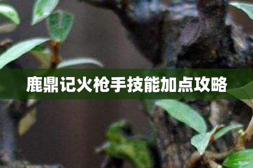 鹿鼎记火枪手技能加点攻略