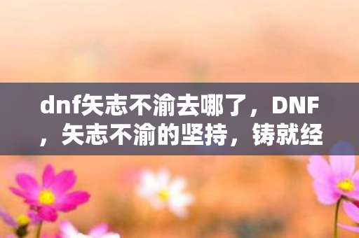 dnf矢志不渝去哪了,DNF,矢志不渝的坚持,铸就经典游戏之魂 dnf矢志不渝去哪了,DNF,矢志不渝的坚持,铸就经典游戏之魂