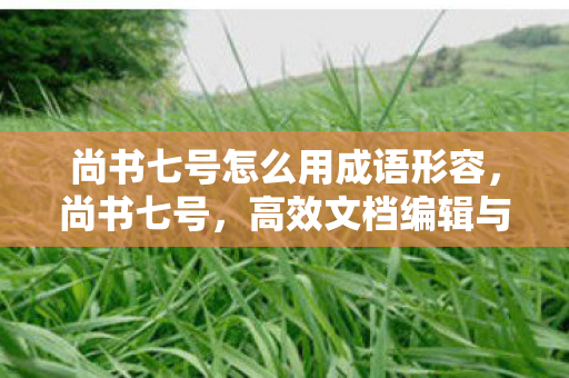 尚书七号怎么用成语形容,尚书七号,高效文档编辑与转换的实用指南 尚书七号怎么用成语形容,尚书七号,高效文档编辑与转换的实用指南