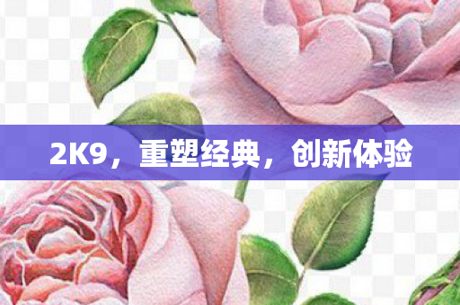 2K9，重塑经典，创新体验