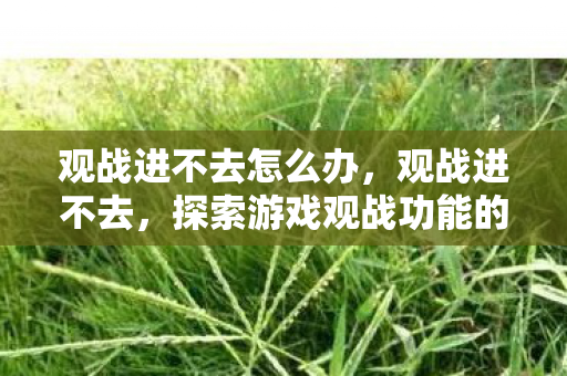 观战进不去怎么办,观战进不去,探索游戏观战功能的限制与解决方案 观战进不去怎么办,观战进不去,探索游戏观战功能的限制与解决方案