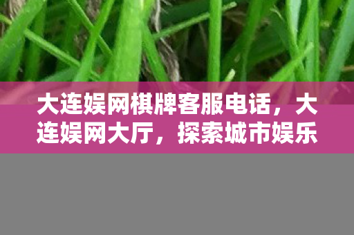 大连娱网棋牌客服电话，大连娱网大厅，探索城市娱乐新地标